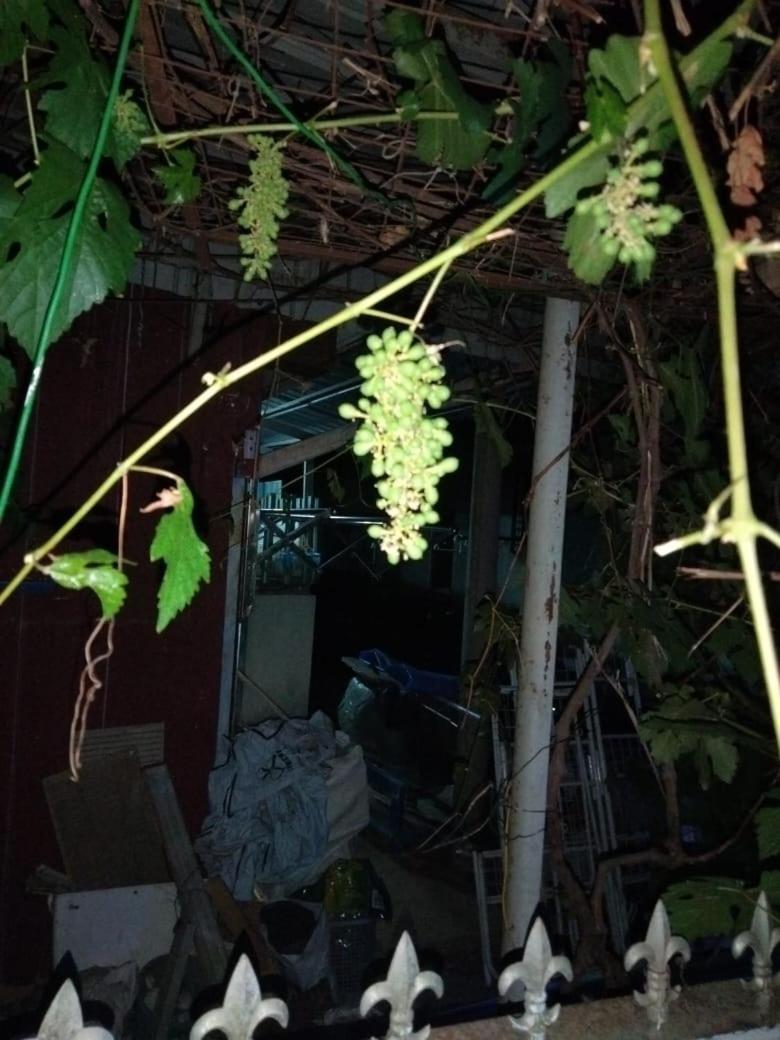 Singgahan Keluarga Jitu Jitra Exterior foto